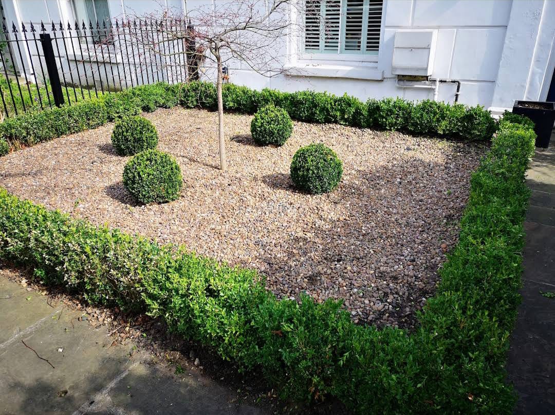 eco garden hedge care